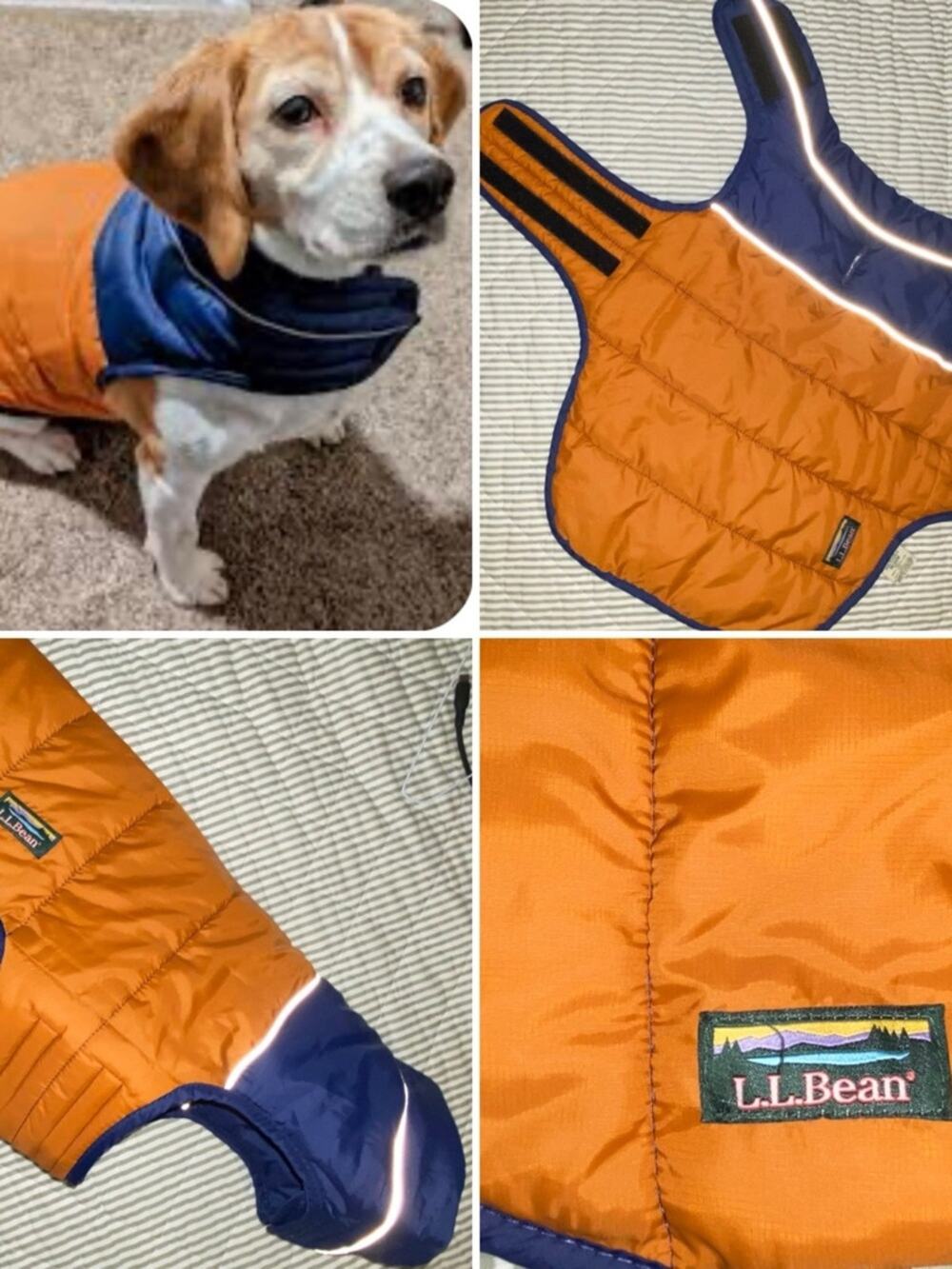 L.L.Bean Mountain Classic Reversible Dog Parka Blue & Orange Size Medium EUC
